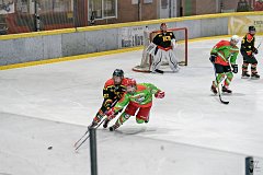 DSC08201-1000