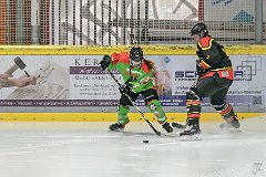 DSC08202-1000