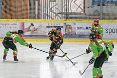 DSC08208-1000