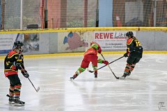 DSC08211-1000