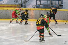 DSC08213-1000