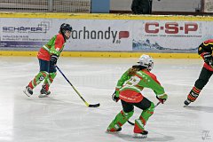 DSC08215-1000