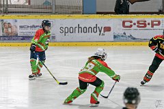 DSC08217-1000