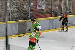 DSC08222-1000