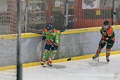 DSC08223-1000