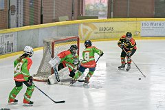 DSC08229-1000