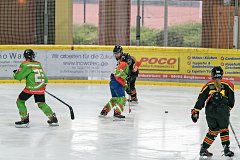 DSC08238-1000