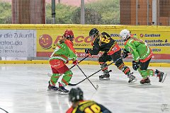 DSC08241-1000