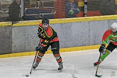 DSC08246-1000