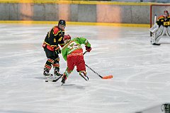 DSC08254-1000