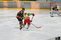 DSC08255-1000