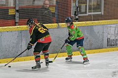DSC08266-1000