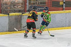 DSC08267-1000