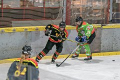 DSC08271-1000