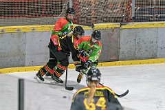 DSC08273-1000