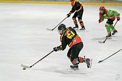 DSC08275-1000