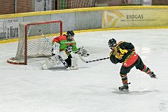 DSC08280-1000