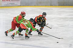 DSC08286-1000