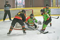 DSC08290-1000