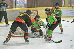 DSC08291-1000