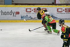 DSC08292-1000