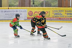 DSC08294-1000