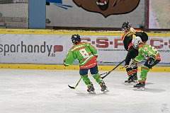 DSC08296-1000