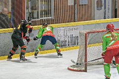 DSC08315-1000