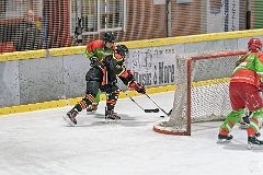 DSC08318-1000