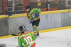 DSC08320-1000