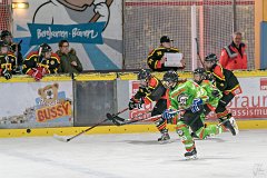 DSC08322-1000