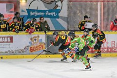 DSC08323-1000