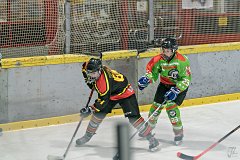 DSC08324-1000