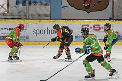 DSC08326-1000