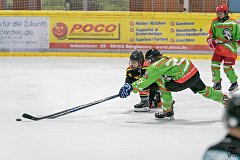 DSC08327-1000