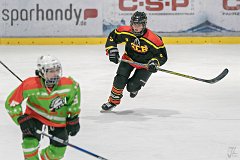 DSC08342-1000