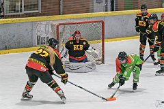 DSC08346-1000