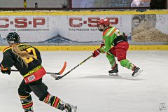DSC08351-1000