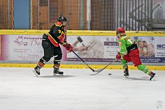 DSC08352-1000