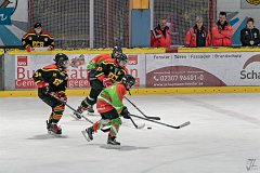 DSC08354-1000