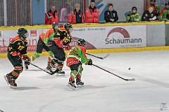 DSC08356-1000