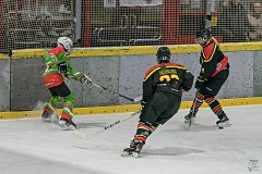 DSC08361-1000