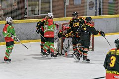 DSC08364-1000