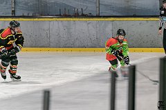 DSC08368-1000