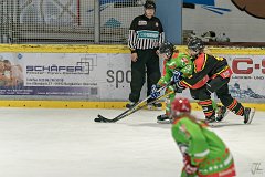 DSC08373-1000