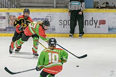 DSC08376-1000