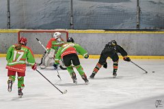 DSC08378-1000