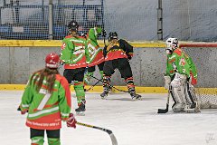 DSC08379-1000