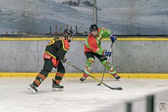 DSC08382-1000