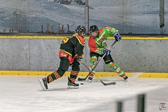 DSC08383-1000